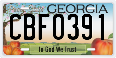 GA license plate CBF0391