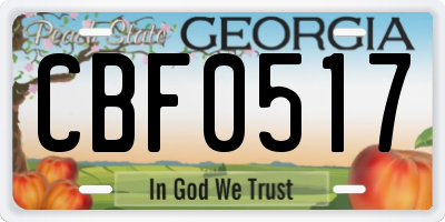 GA license plate CBF0517
