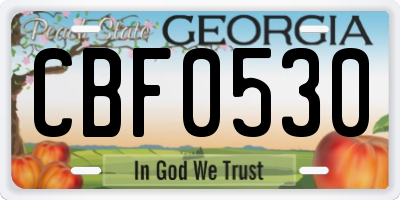 GA license plate CBF0530