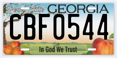 GA license plate CBF0544