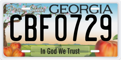GA license plate CBF0729