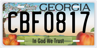 GA license plate CBF0817