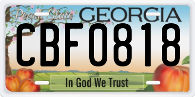 GA license plate CBF0818
