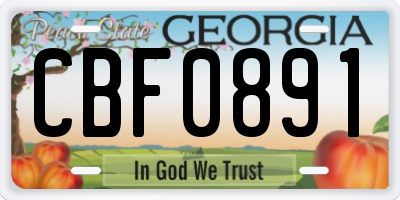 GA license plate CBF0891