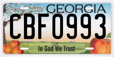 GA license plate CBF0993