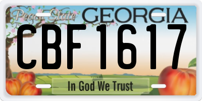GA license plate CBF1617