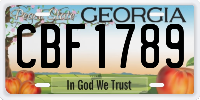 GA license plate CBF1789