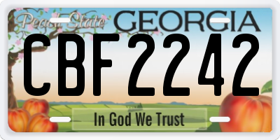 GA license plate CBF2242