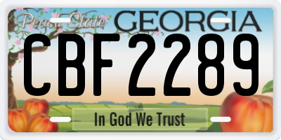 GA license plate CBF2289