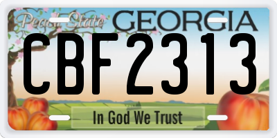 GA license plate CBF2313