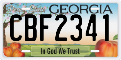 GA license plate CBF2341