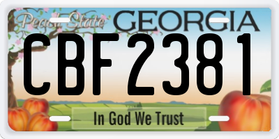 GA license plate CBF2381