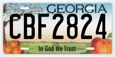 GA license plate CBF2824