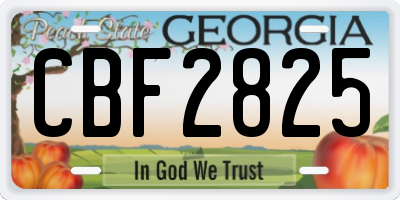 GA license plate CBF2825
