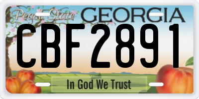 GA license plate CBF2891