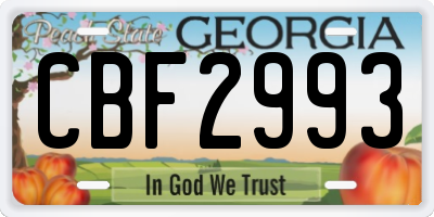 GA license plate CBF2993