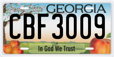 GA license plate CBF3009
