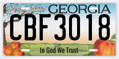 GA license plate CBF3018