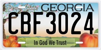 GA license plate CBF3024