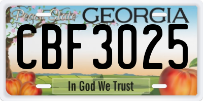 GA license plate CBF3025