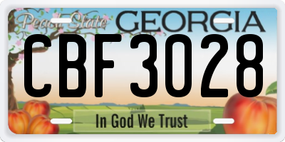 GA license plate CBF3028
