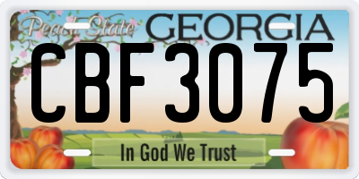 GA license plate CBF3075