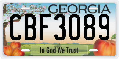 GA license plate CBF3089