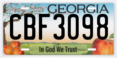 GA license plate CBF3098