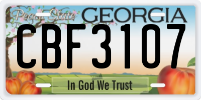 GA license plate CBF3107