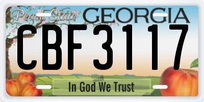 GA license plate CBF3117