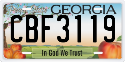 GA license plate CBF3119
