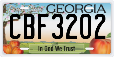 GA license plate CBF3202