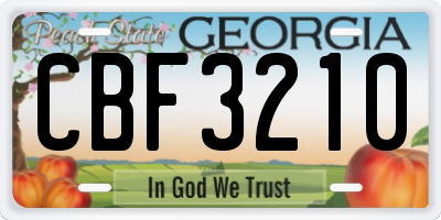 GA license plate CBF3210