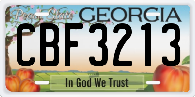 GA license plate CBF3213