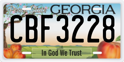 GA license plate CBF3228