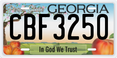 GA license plate CBF3250