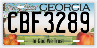 GA license plate CBF3289