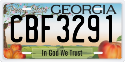 GA license plate CBF3291