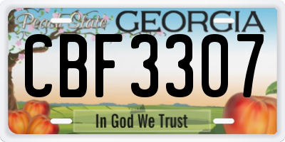 GA license plate CBF3307