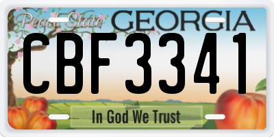 GA license plate CBF3341