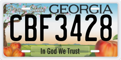 GA license plate CBF3428