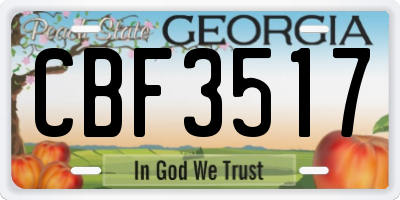 GA license plate CBF3517