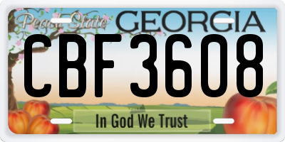 GA license plate CBF3608
