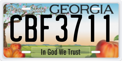 GA license plate CBF3711