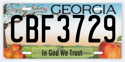 GA license plate CBF3729