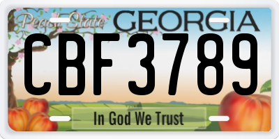 GA license plate CBF3789