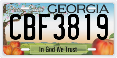 GA license plate CBF3819