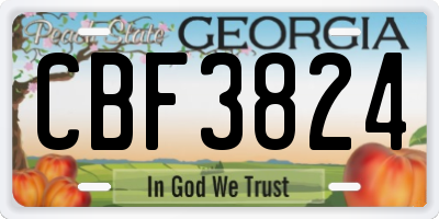 GA license plate CBF3824