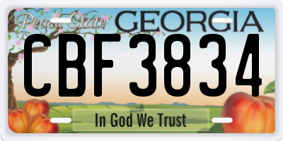 GA license plate CBF3834