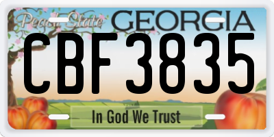 GA license plate CBF3835